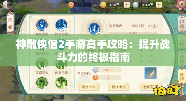 神雕侠侣2手游高手攻略：提升战斗力的终极指南