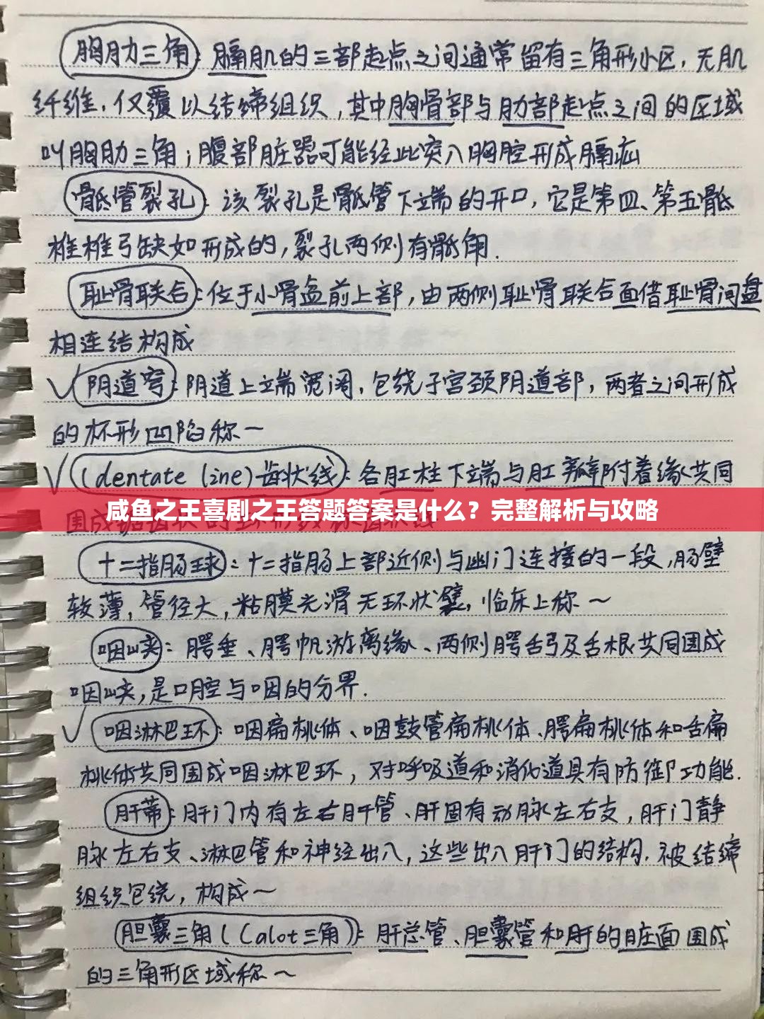 咸鱼之王喜剧之王答题答案是什么？完整解析与攻略